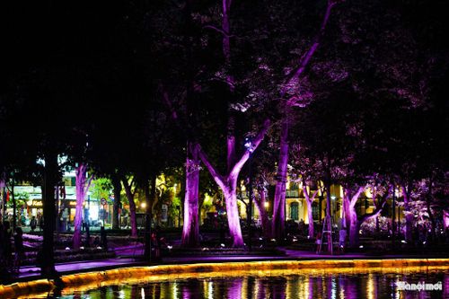 Sự kiện đánh dấu sự khởi đầu của một diện mạo mới cho hồ Hoàn Kiếm về đêm - nơi ánh sáng hòa cùng cảnh quan, kiến trúc và những giá trị di sản, tạo nên một không gian giàu cảm xúc và sức sống.