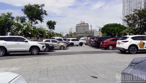 Một bãi giữ xe ô-tô ở Bãi Sau ngày 30/8. (Ảnh: Lê Đình Thìn)