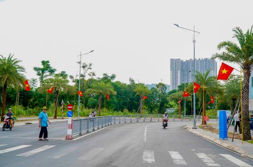 Đường cờ trên địa bàn phường Lái Thiêu, TPHCM