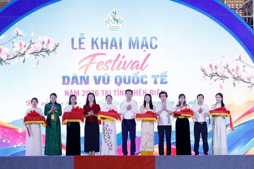 Các đại biểu thực hiện nghi thức khai mạc.