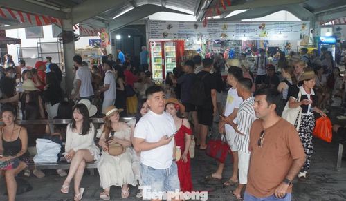 Tại khu vực Bến Bèo, hàng nghìn du khách xếp hàng chờ lên du thuyền, tàu du lịch để ra vịnh tham quan.