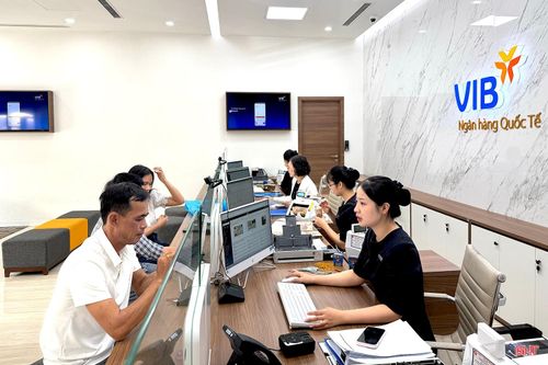 Trong tháng 8, VIB đã triển khai tới 7 chương trình ưu đãi huy động vốn dành cho khách hàng cá nhân nhằm thu hút dòng tiền nhàn rỗi.