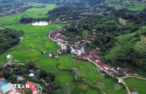Cánh đồng lúa xanh mướt tạo nên khung cảnh bình yên ở Mường Lựm, xã Chiềng Hặc. (Ảnh: Quang Quyết/TTXVN)