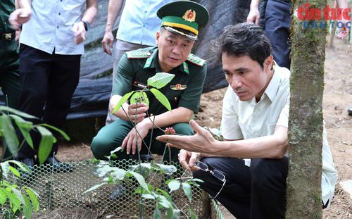 Đại tá Trương Minh Đức, Chỉ huy trưởng Ban Chỉ huy BĐBP Lai Châu và đồng chí Hà Trọng Hải, Phó Chủ tịch UBND tỉnh Lai Châu kiểm tra sự phát triển của cây sâm Lai Châu.