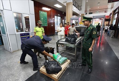 Bộ đội Biên phòng phối hợp cùng Hải quan kiểm tra hành lý khách nhập cảnh. Ảnh minh họa: Vũ Sinh/TTXVN