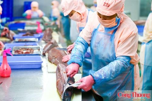 GoGlobal xác định định hướng tiếp cận thị trường theo từng khu vực và mức độ hiện diện của doanh nghiệp Việt Nam.
