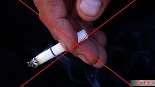 Theo Bộ Y tế, các bệnh không lây nhiễm có nguyên nhân trực tiếp từ thói quen hút thuốc lá, lạm dụng rượu bia chiếm 81% tổng số ca tử vong tại Việt Nam.