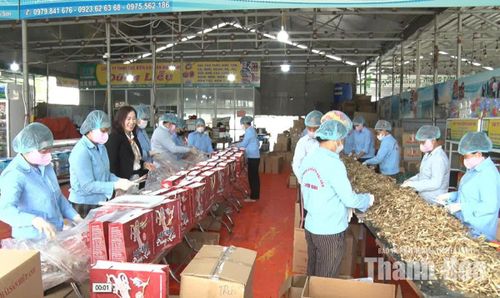 Bà Lê Thị Liễu ở phường Tĩnh Gia từ hộ sản xuất nhỏ vươn lên thành doanh nghiệp chế biến hải sản, tạo việc làm cho nhiều lao động địa phương.