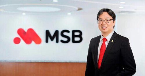 Ông Nguyễn Hoàng Linh - Tổng Giám đốc MSB. (Ảnh: MSB).