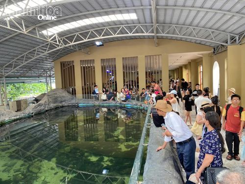 Bảo tàng Hải dương học thu hút khách tham quan trong dịp nghỉ lễ.