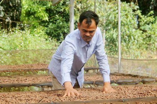 Sản phẩm ca cao của anh Vũ Văn Nghĩa được thị trường đánh giá có chất lượng tốt