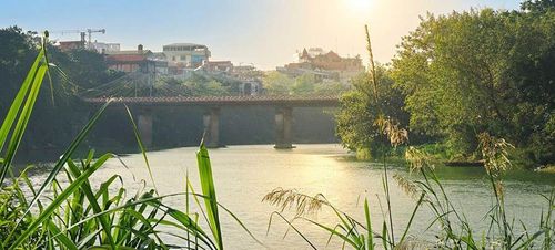 Một khúc sông Cầu mùa lau, sậy.