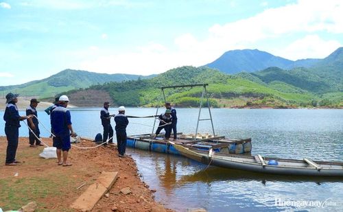  Cán bộ, kỹ sư, công nhân HueWACO khẩn trương thi công, lấy nguồn nước ở hồ Thủy Yên.