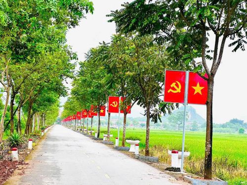 Sắc đỏ của cờ Tổ quốc cùng các hoạt động văn hóa, thể thao sôi nổi đã tạo không khí vui tươi, phấn khởi trên địa bàn xã Hòa Xá. Ảnh: Thanh Hằng