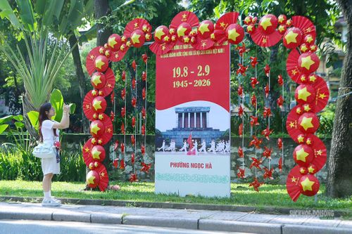 Một bạn trẻ ghi lại hình ảnh tiểu cảnh rực rỡ sắc đỏ trên phố Kim Mã. Ảnh: T.Anh.