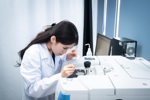  Sinh viên trường Đại học Khoa học và Công nghệ Hà Nội. Ảnh minh họa: Đinh Hà. 