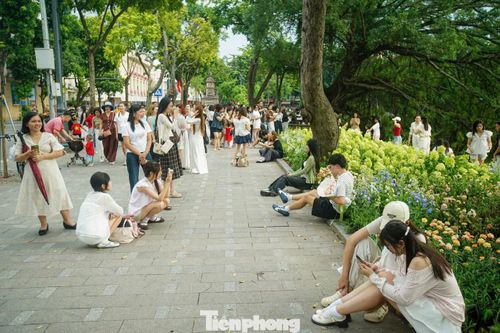 Lượng người đến chụp ảnh khá đông khiến nhiều người phải chờ đến lượt để có góc chụp thuận lợi, đồng thời hạn chế việc giẫm lên các luống hoa.