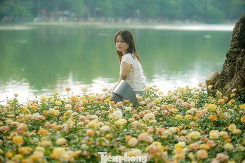 Bên cạnh cẩm tú cầu, nhiều loại hoa khác như hoa hồng, cúc và các loài hoa theo mùa cũng đang đồng loạt nở rộ. Các bồn hoa được chăm sóc, bố trí thành từng dải màu sắc, góp phần làm nổi bật cảnh quan khu vực hồ Hoàn Kiếm trong dịp nghỉ lễ 2/9.