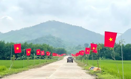 Hơn 500 lá cờ được lắp đặt hai bên tuyến đường.