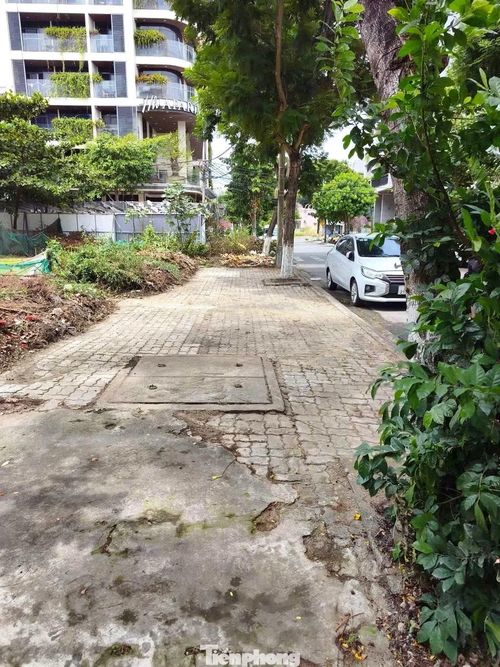 Nhiều đoạn đường ở Đà Nẵng liên tục "thay áo mới" nhờ anh Trí và những người bạn đồng hành. 