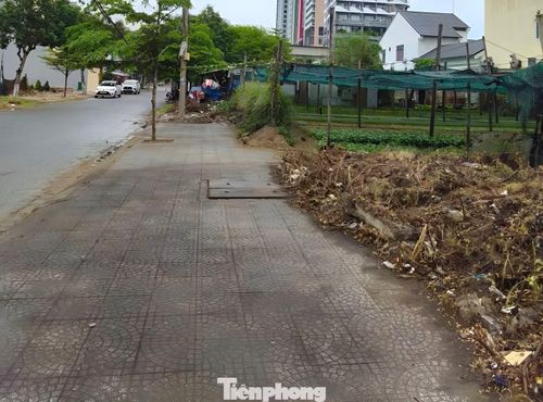 Đoạn vỉa hè bị cây cỏ và rác vùi lấp sạch đẹp sau khi anh Trí dọn dẹp. Ảnh: T.H.