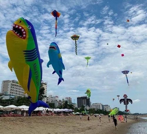 Festival Diều Sầm Sơn được kỳ vọng trở thành sản phẩm văn hóa, du lịch mới, góp phần đa dạng hóa các hoạt động trải nghiệm tại phố biển, đồng thời tạo thêm sức hút cho Sầm Sơn trong dịp nghỉ lễ Quốc khánh 2/9.