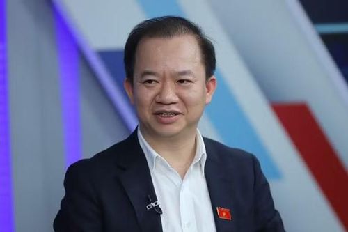 Phó Giáo sư-Tiến sỹ Bùi Hoài Sơn, Ủy viên chuyên trách Ủy ban Văn hóa-Xã hội của Quốc hội. (Ảnh: PV/Vietnam+)