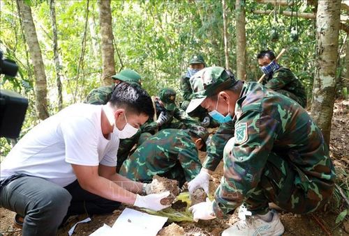 Đội Tìm kiếm, quy tập hài cốt liệt sĩ, Bộ Chỉ huy Quân sự tỉnh Khánh Hòa kiểm tra kỹ từng mẫu đất để tìm kiếm hài cốt liệt sĩ. Ảnh: Xuân Triệu/TTXVN