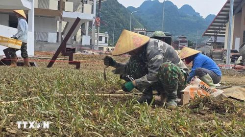Các công nhân làm việc liên tục "3 ca, 4 kíp" nỗ lực hoàn thành những hạng mục cuối cùng của Trường Phổ thông nội trú Tiểu học và Trung học cơ sở Mường Khương, sẵn sàng đón học sinh trong năm học mới. Ảnh: Hương Thu/TTXVN