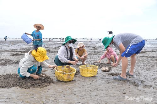 Du khách thích thú cào nghêu trải nghiệm tại biển Gò Công.