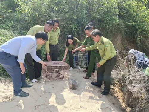 Chính quyền và người dân cùng chung tay bảo vệ rừng và tái thả động vật hoang dã về tự nhiên, góp phần duy trì cân bằng sinh thái và bảo tồn đa dạng sinh học. Ảnh: Phan Tuấn