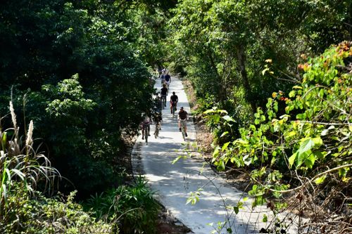 Tuyến đường 5km xuyên đảo mở lối phát triển du lịch cộng đồng ở Việt Hải.