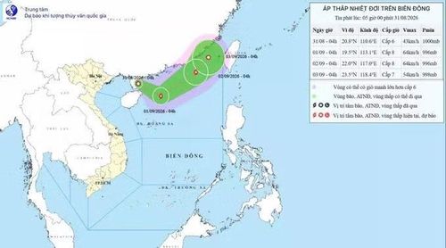 Vị trí áp thấp nhiệt đới sáng 31/8. Nguồn: NCHMF