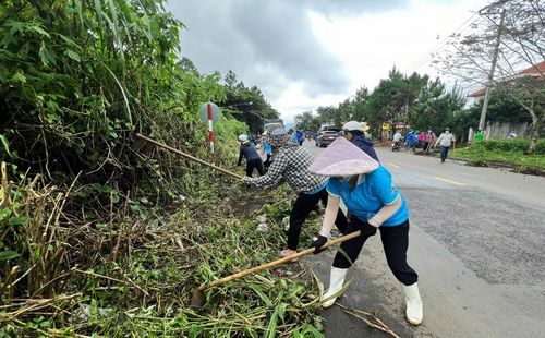 Khi phát quang bụi rậm, đi rừng, làm nương rẫy, làm vườn, người dân cần cảnh giác để không bị mò đốt.