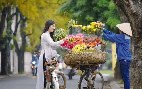 Hình minh họa. Nguồn: Internet