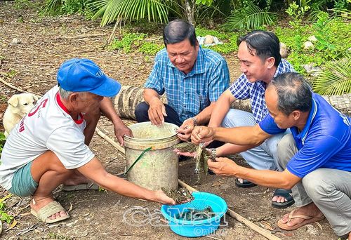 Ông Trương Văn Lễ, Bí thư Chi bộ ấp Đầm Cùng, xã Cái Nước (thứ hai từ trái sang), cùng cán bộ xã đến thăm mô hình sản xuất của ông Hồ Văn Long.