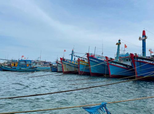 Tàu thuyền neo đậu trên Biển Đông. Ảnh: CTV.