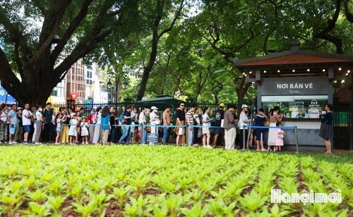 Theo ghi nhận, từ đầu giờ sáng ngày 31-8, dòng người từ mọi nơi đã đổ về xếp hàng mua vé vào tham quan Văn Miếu. Dù đông người nhưng việc mua vé diễn ra trong trật tự, quy củ.