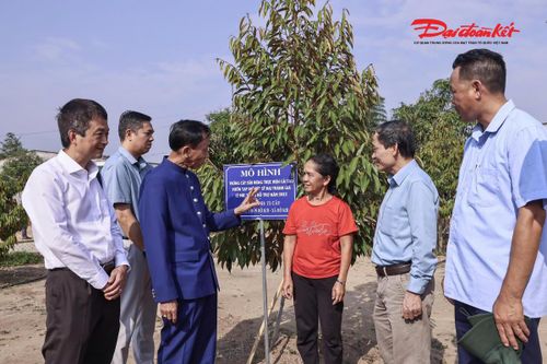 Hiệp sĩ Đại Thánh giá Lê Đức Thịnh và những người đồng hành trở về thăm hỏi bà con đồng bào dân tộc- những người từng được ông trao tặng giống cây sầu riêng ở tỉnh Quảng Ngãi ( Kon Tum cũ). Ảnh: Quang Vinh. 