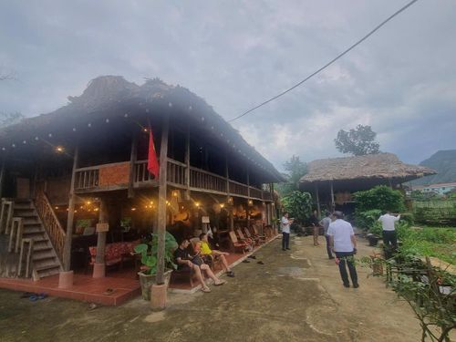Quán cà phê của Vương và cộng sự gần gũi với thiên nhiên. Ảnh: N.H.