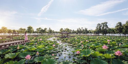  Thực hiện trên quy mô nghiên cứu gần 570 ha, dự án sẽ giữ nguyên hiện trạng hơn 520 ha mặt nước Hồ Tây, diện tích đất gần 47 ha và tập trung chỉnh trang, cải tạo đồng bộ hệ thống giao thông, cảnh quan, công viên cây xanh, không gian sinh hoạt công cộng, đầu tư các hoạt động văn hóa, giải trí. Theo tiến độ phê duyệt, toàn bộ dự án dự kiến hoàn thành vào năm 2030, tổng vốn đầu tư dự kiến khoảng 30.151 tỷ đồng. 