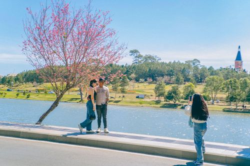 Doanh nghiệp của Đức Minh chọn Đà Lạt cho chuyến team building 2/9, đồng thời gói gọn lịch trình để nhân viên vẫn có thời gian nghỉ ngơi. Ảnh: Đức Hiếu.
