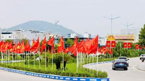 Quảng Ninh rực rỡ cờ, hoa chào mừng thành phố. (Ảnh: Quang Thọ)