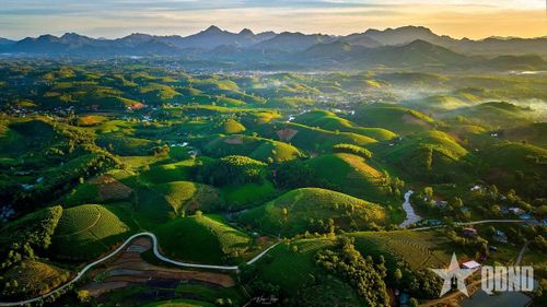 Bình minh tại đồi chè xã Long Cốc.