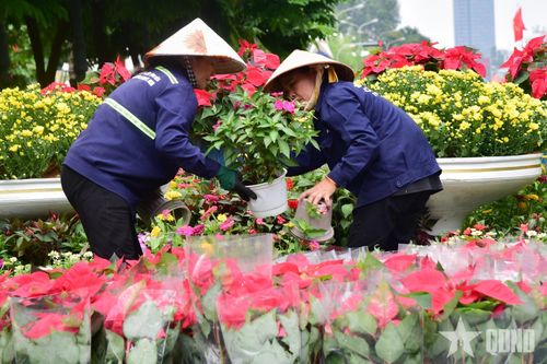Nhân viên trang trí thêm hoa tại công viên trước Nhà hát Thành phố.