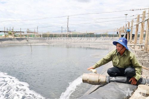 CCB Phương Thục lấy nước vào đìa nuôi tôm.