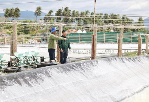 CCB Phương Thục (bên trái) chia sẻ kinh nghiệm xây dựng trang trại nuôi tôm với đồng chí Nguyễn Xuân Tân, Chủ tịch Hội CCB xã Vạn Hưng.