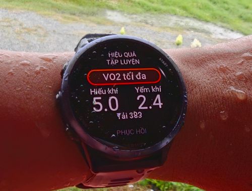  Chỉ số như VO2 max cũng giúp người chạy theo dõi sự thay đổi về khả năng thể chất theo thời gian 