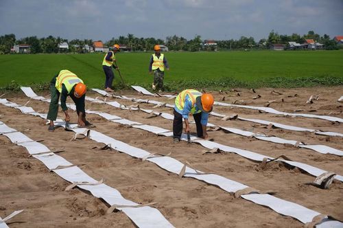 Ông Nguyễn Văn Út Nhỏ (xã Thới Lai, TP Cần Thơ) cho biết, những ngày tăng ca làm việc từ 7h đến 19h, có hôm đến 20h. Dịp lễ Quốc khánh năm nay, ông cùng các công nhân vẫn vui vẻ ở lại công trường làm việc.
