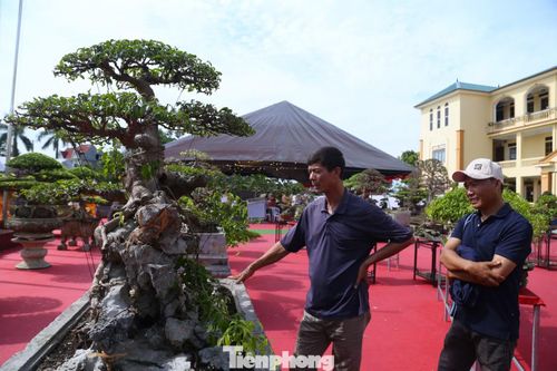 Ông Nguyễn Thế Thân - Chủ tịch UBND phường Vinh Phú - cho biết, địa phương hiện có 3 làng nghề hoa, cây cảnh được công nhận hơn 15 năm qua gồm Kim Phúc, Kim Chi và Kim Mỹ. Triển lãm là sự kiện văn hóa - kinh tế có ý nghĩa, góp phần quảng bá nghề trồng hoa, cây cảnh của địa phương. Phường đang xây dựng đề án phát triển các làng nghề gắn với sản phẩm OCOP về hoa, cây cảnh, hướng tới kết hợp nông nghiệp chất lượng cao với du lịch sinh thái, trải nghiệm.